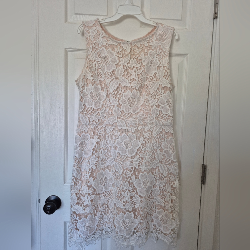 Elegant Lace Sleeveless Dress